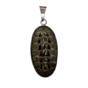 Fossilized Trilobite Pendant Sterling Silver Oval Natural Stone Large 2" Fossil
